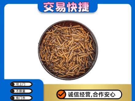 阿坝高价回收散虫草
